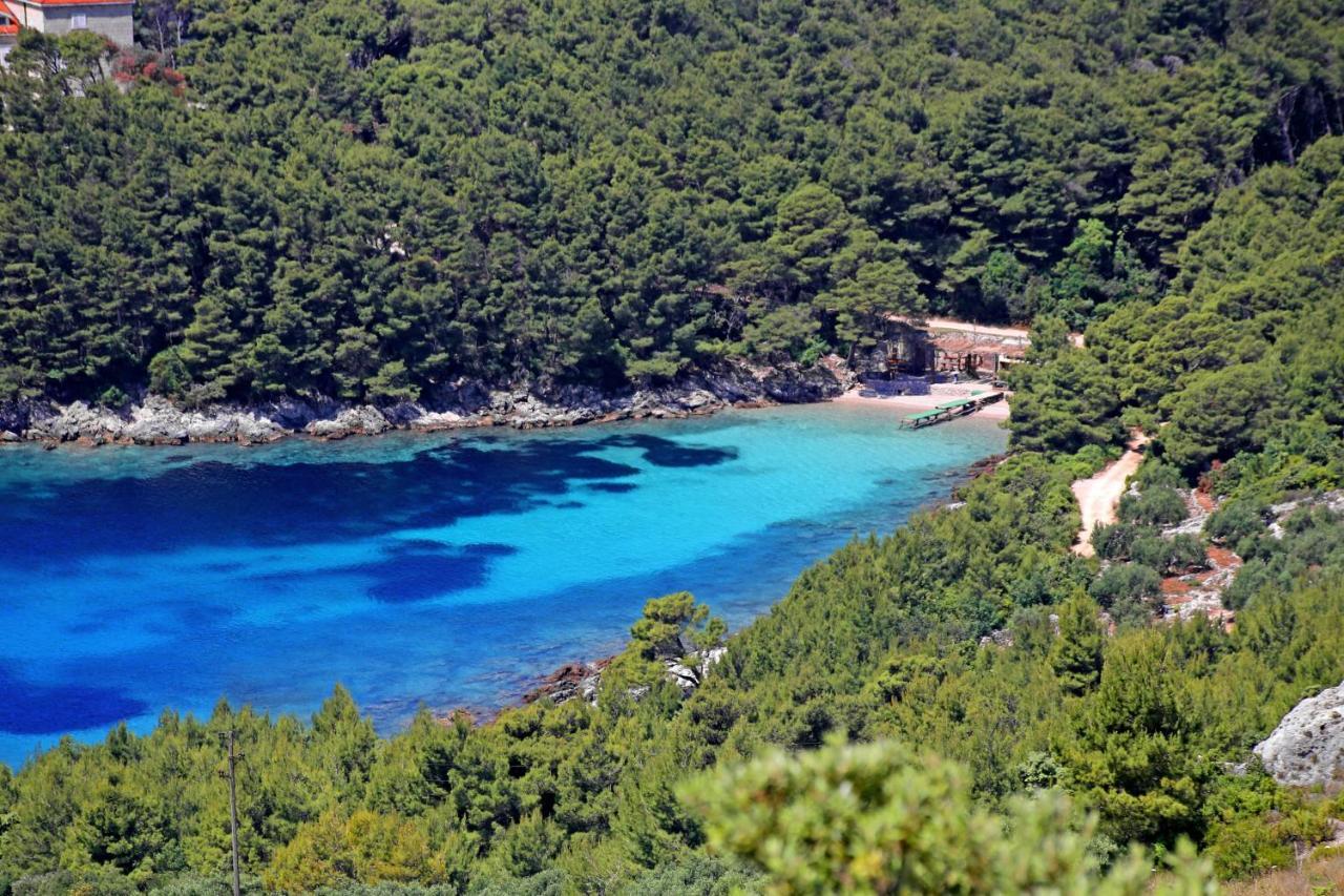 Apartments By The Sea Luka Dubrava, Peljesac - 284 Janjina Exteriör bild